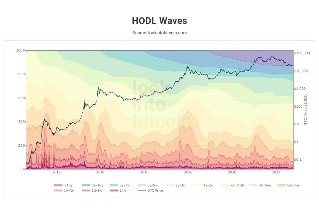 Bitcoin HODL Waves chart; Source: LookIntoBitcoin