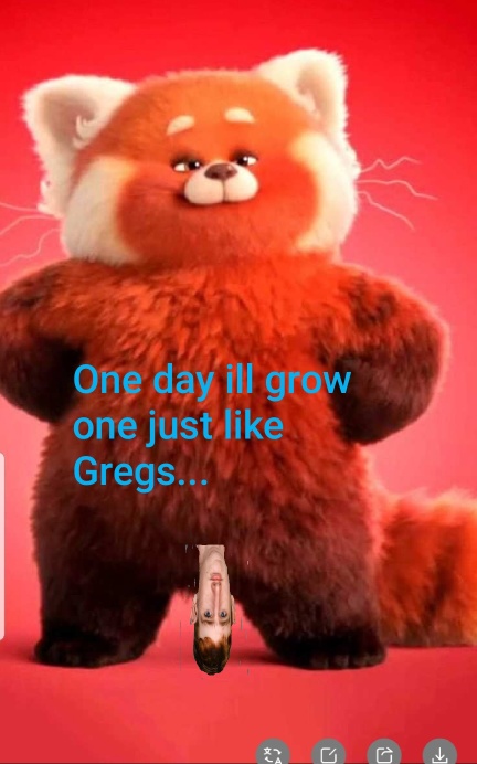 Bearishpoobear最终有了一个小伙伴。