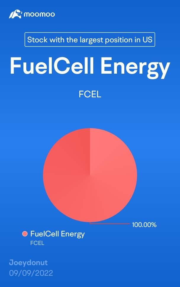 Fuelcell