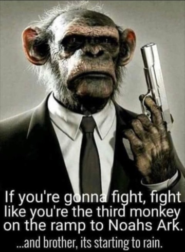good morning  apes ! it's time to kick some ass !!!