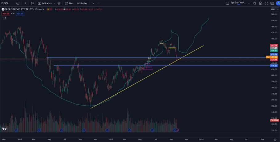 The Market (Part 2) + Stocks