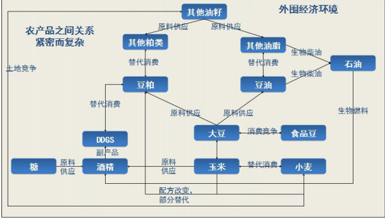 一文看懂豆粕