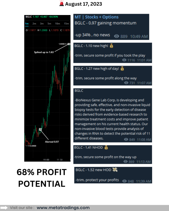 August 17 Recap. Hope yoou all had good trading day
