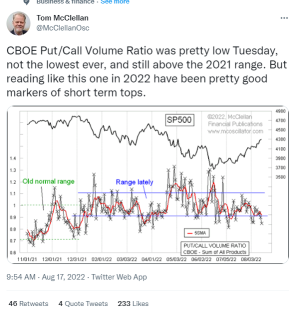 Bull Session: Is the Bear Market Over? Or Is It a Dead Cat Bounce