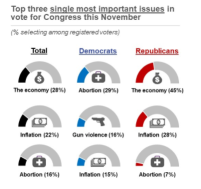 Poll: The 2022 Midterm Election started. What is your most important issue to vote for Congress?