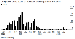 Cut-Price IPOs: Risky or Rewarding Opportunities?