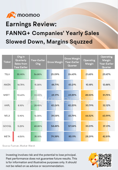 Earnings Review: FANNG+ Companies&#039; Yearly Sales Slowed Down, Margins Squzzed