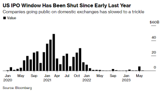 US IPO Market is Back. More Companies Are Going Public After Cava's Winning Debut