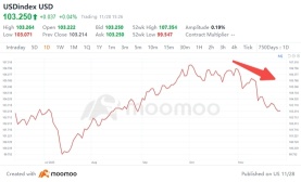 Is the Depreciation of the US Dollar Just the Beginning? Institutional Investors Start Selling Off USD