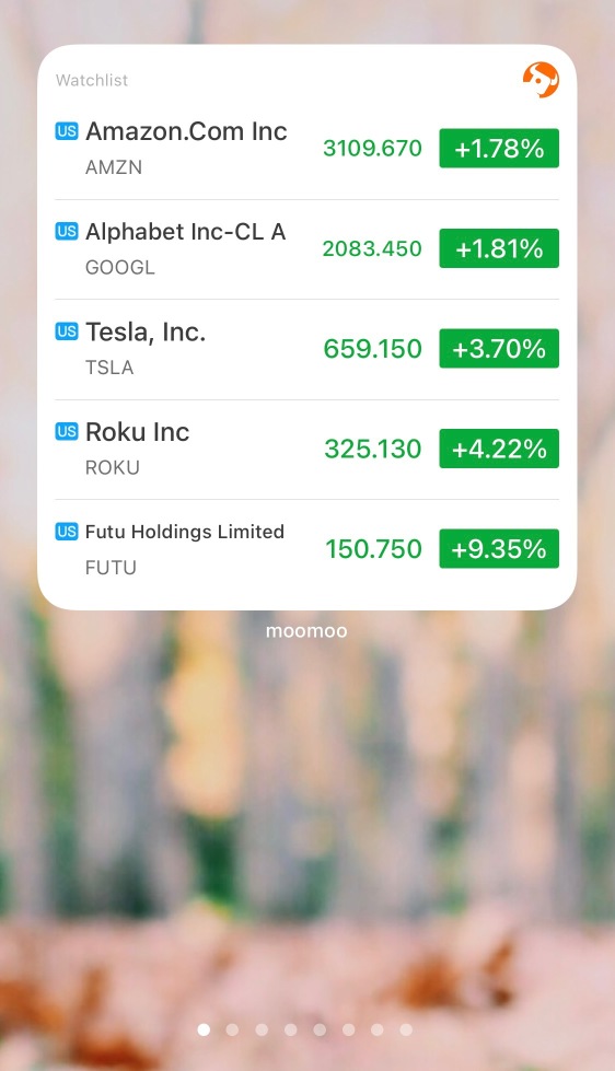 使用小工具查看股票价格 (iPhone)