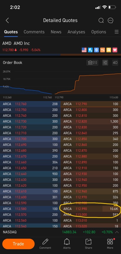 Buy & Hold AMD