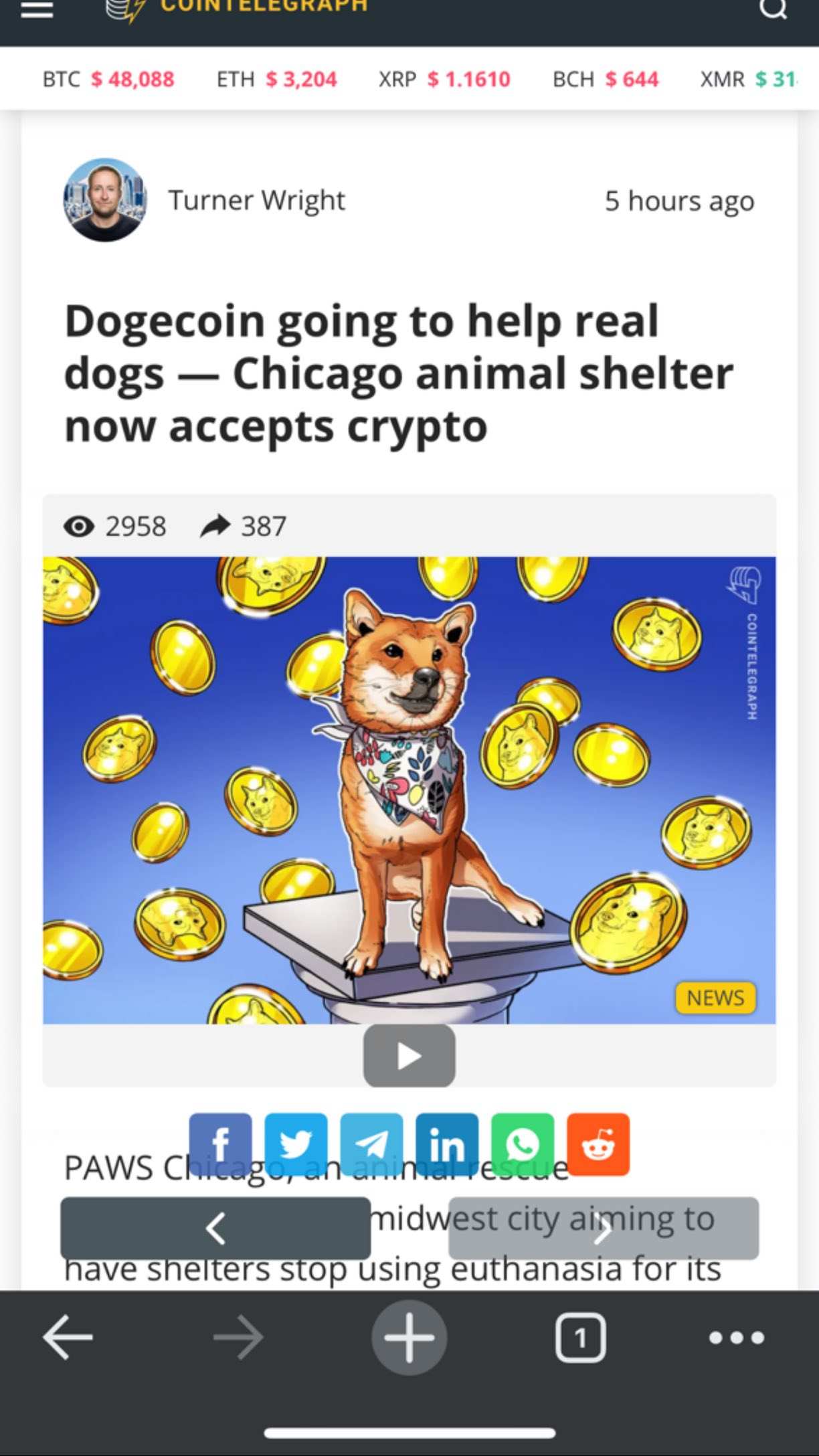$Dogecoin(DOGE.CC)$ look look guys please buy buy is came up up up 🚀🚀🚀🚀🚀👀✅🐕🐕🐕🐕