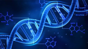 在您的 DNA 中刻入止損