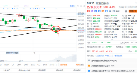 12.16 收盘评论；市场再次跌至新低，我该怎么办？