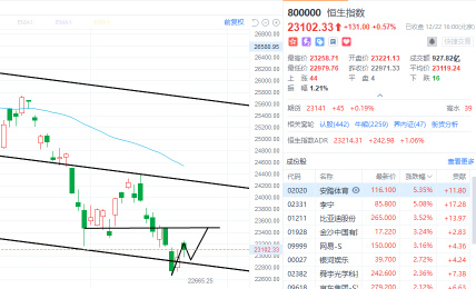 12.22 Closing Comments: Open a position WuXi Biologics + plan to open a position in Xiaomi