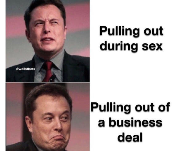 Musk: You know what I mean
