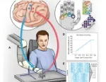 Neuralink的Blindsight Technology獲得了FDA認證；WiMi正在深入研究腦機創新