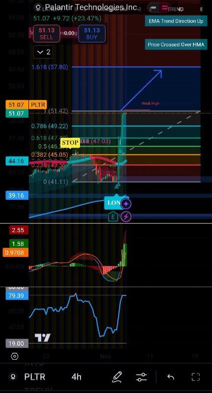 Forget NVDA & NFLX -----PLTR & TSLA To the Moon! (57 & 300?)