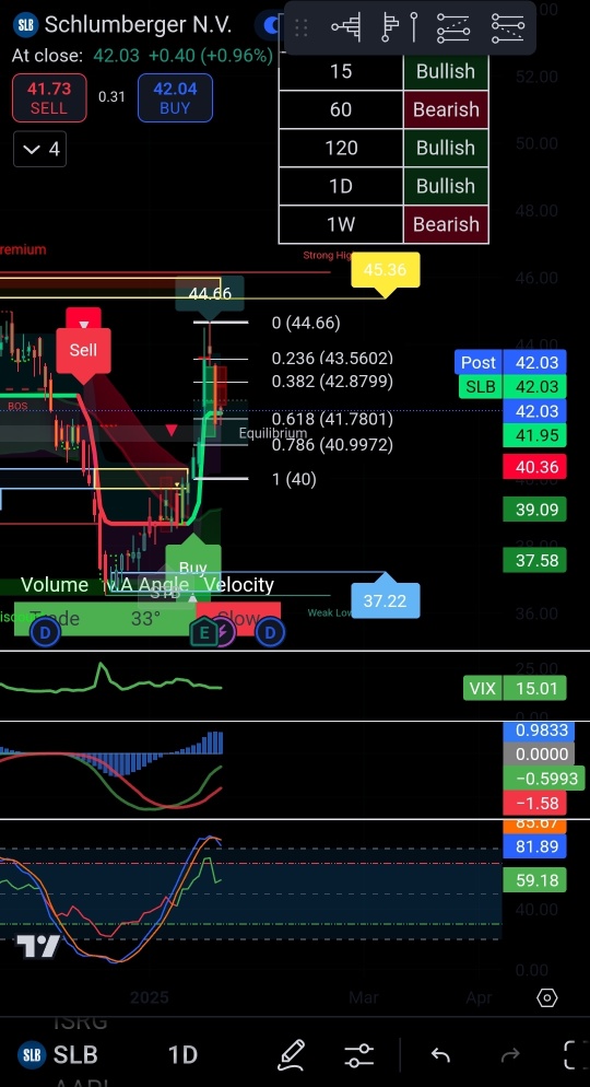 SPY, AAPL, SLB (Probability Analysis for Option 24 Jan 25)