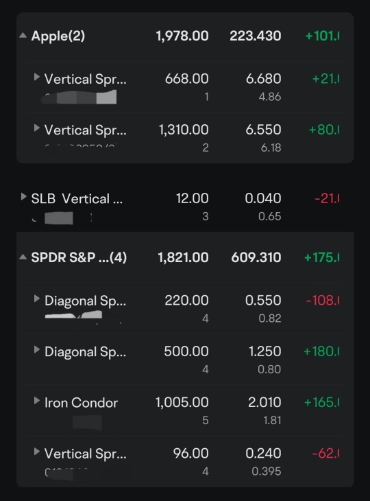 SPY, AAPL, SLB（1月25日期权概率分析）