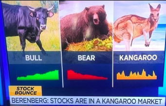 kangaroo market 🤢