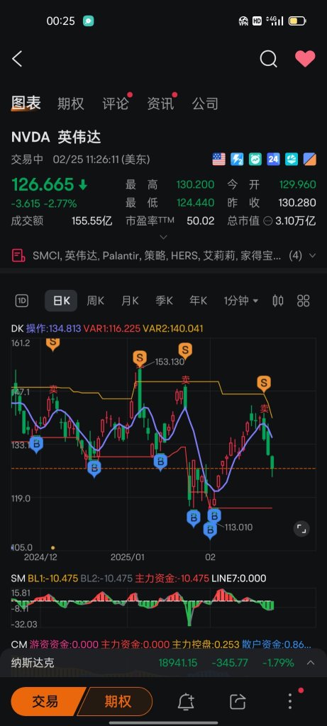 エヌビディアの決算発表も下落相場を救うことはできません