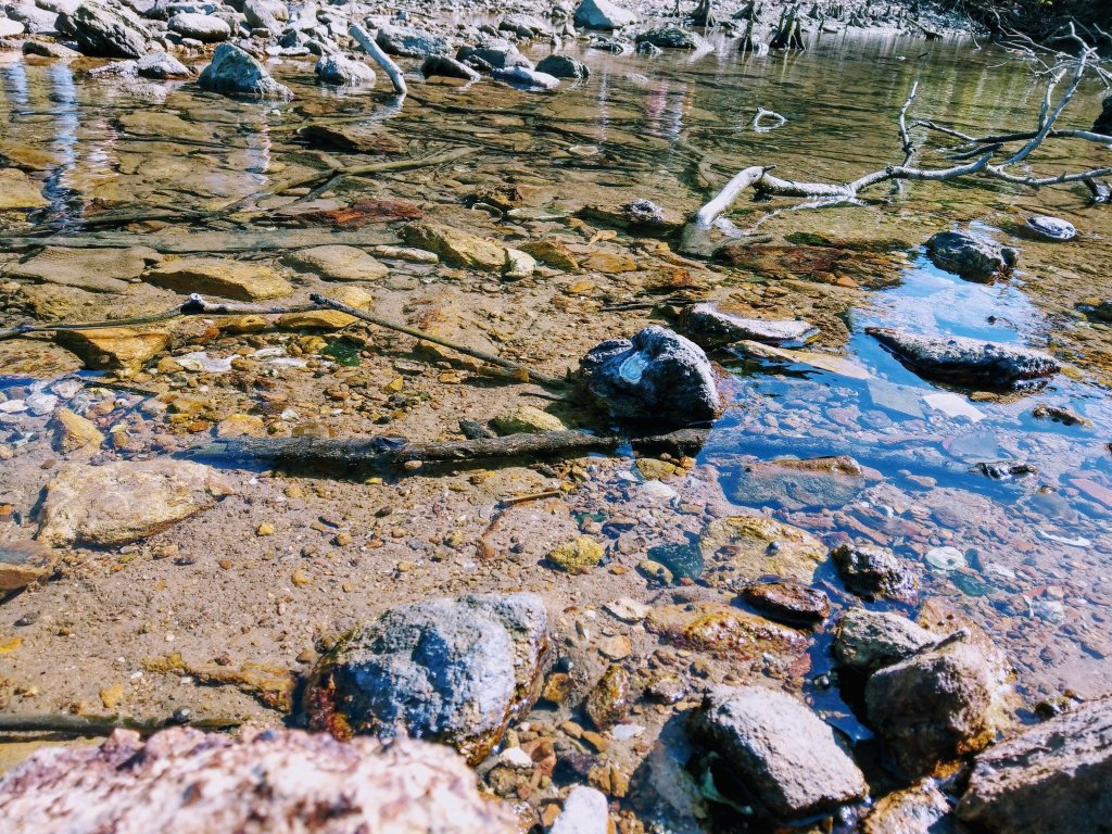 參加義工團~上山拾垃圾之行