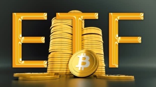 4 Reasons to Bet on Bitcoin ETFs for the Rest of 2024