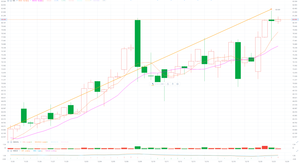 12.24Individual stock analysis