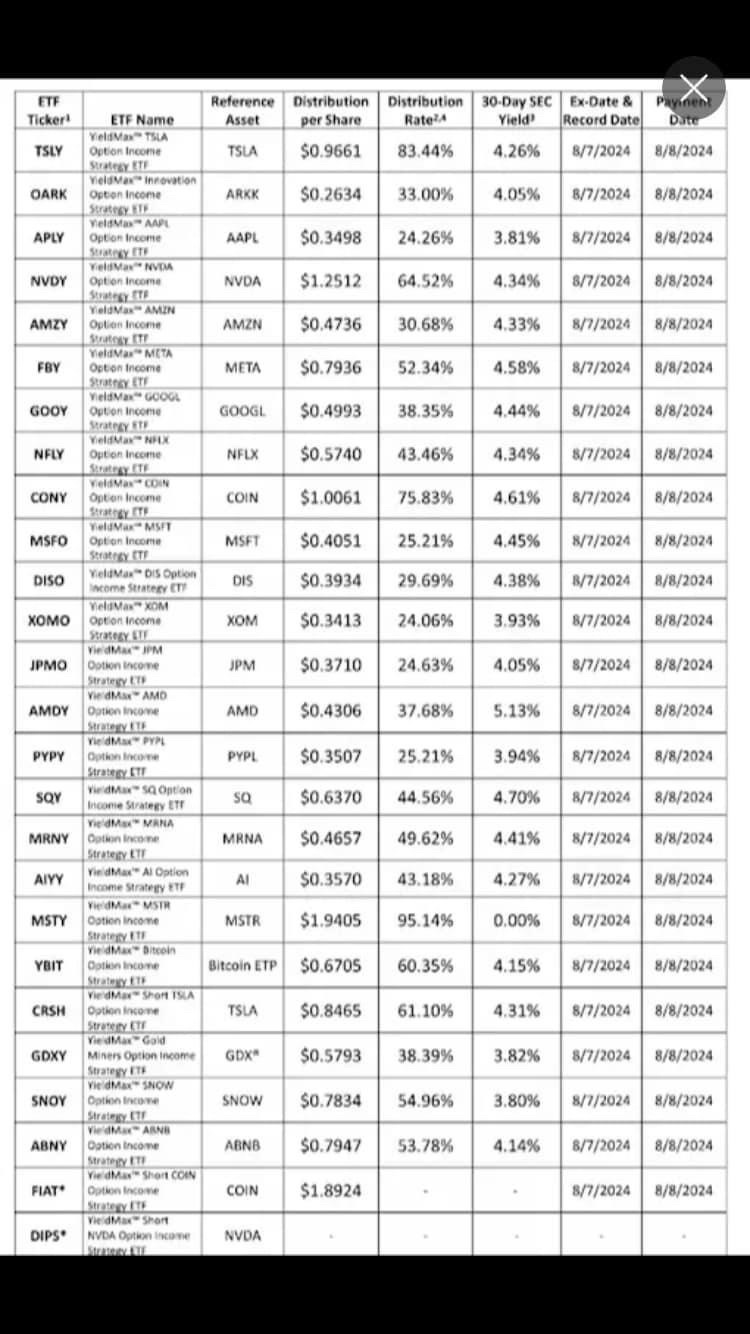 $TIDAL TRUST II YIELDMAX MSTR OPTION INCOME STRATEGY ETF (MSTY.US)$