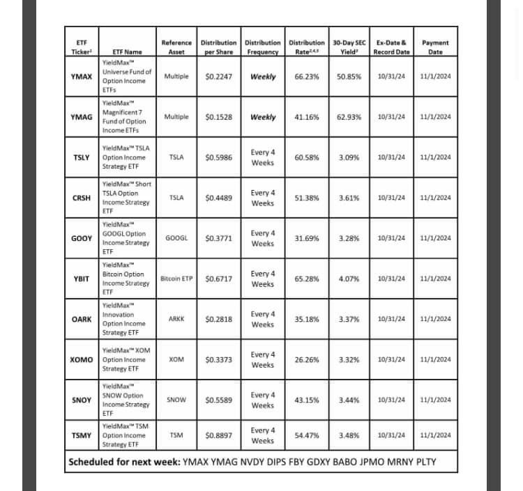 $YIELDMAX MAGNIFICENT 7 FUND OF OPTION INCOME ETFS (YMAG.US)$