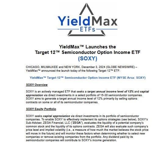 $YieldMax™ TSM Option Income Strategy ETF (TSMY.US)$