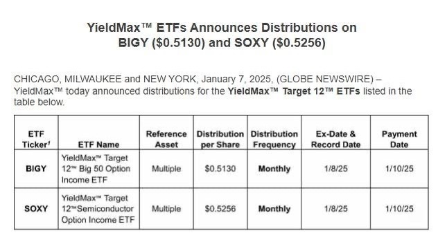 $YieldMax Target 12 Semiconductor Option Income ETF (SOXY.US)$