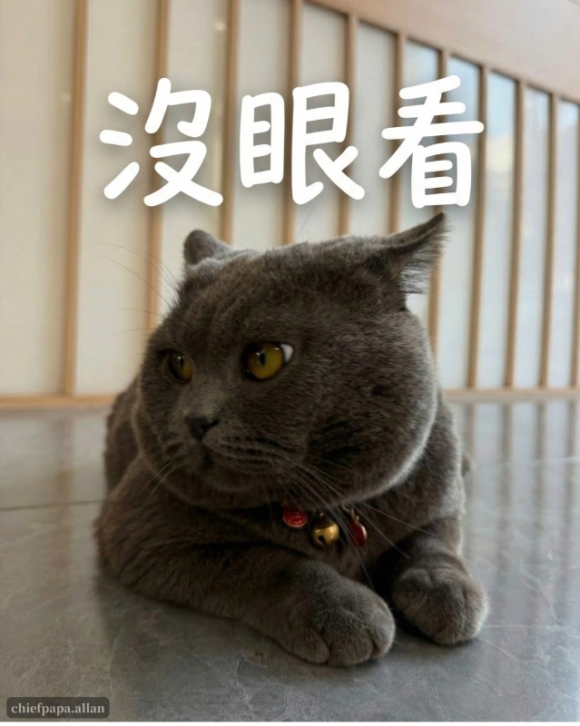 股票今天又跌了🫣