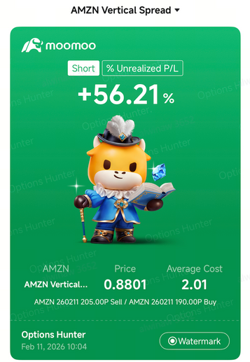 📊 第二部分：亞馬遜（AMZN）週中期權更新：期權價差策略（56%-95%收益）對比買入看漲期權投機（-99%損失）