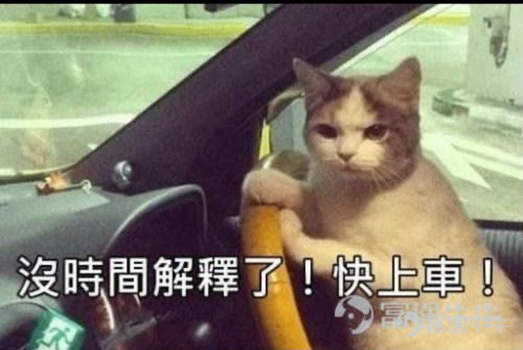 $特斯拉 (TSLA.US)$