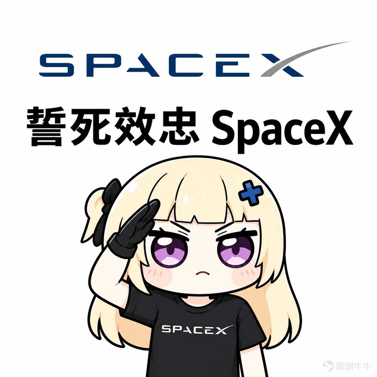 スペースX (SPCX.US)$ 助けて🆘 - moomooコミュニティ
