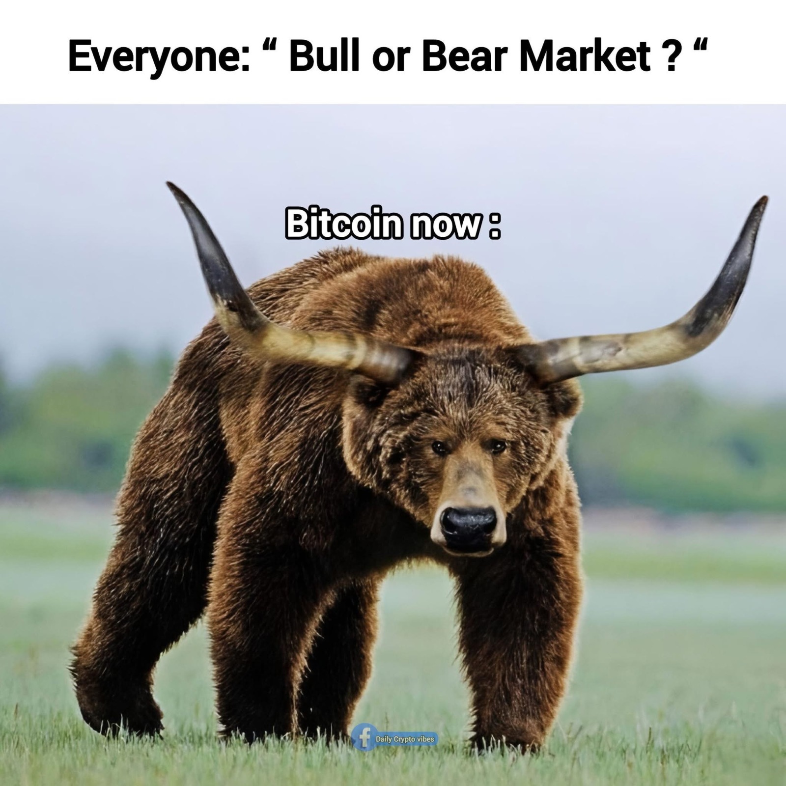 ビットコイン (BTC.CC)$ - moomooコミュニティ