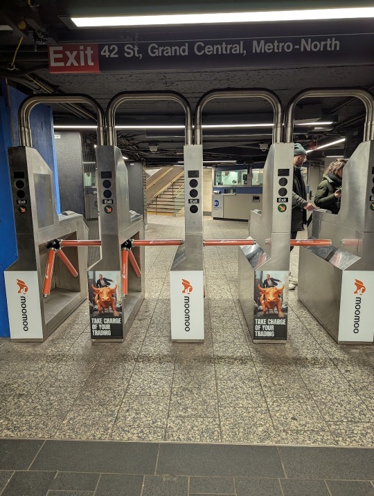 Cool Moomoo Sighting in the Subway! 🚇