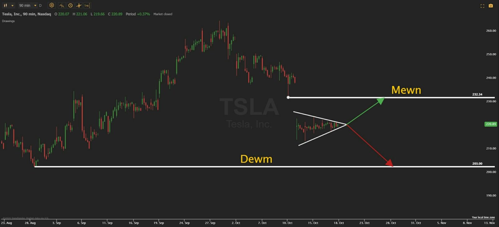 $特斯拉 (TSLA.US)$特斯拉即将在这里很快有5%的波动。 如果下跌...特斯拉在200美元时，我会买一些$TSLL股票和更长期的$TSLA认购期权。 认为 $特斯拉 (TSLA.US)$ 如果特朗普赢得选举，将是一位大赢家，因为埃隆和特朗普现在是好朋友。