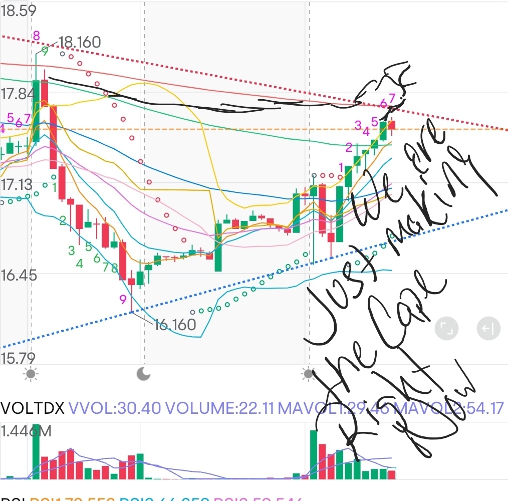 $2倍做多NVDA ETF-T-Rex (NVDX.US)$ 東海岸綠色一路向前......