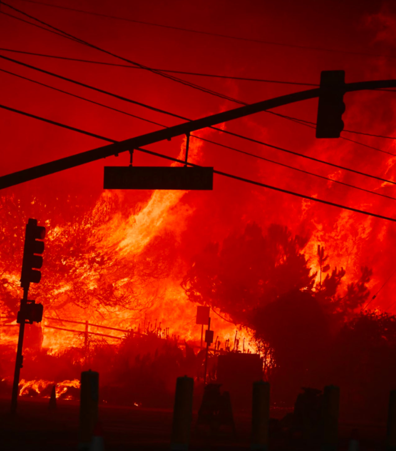 Los Angeles wildfires!