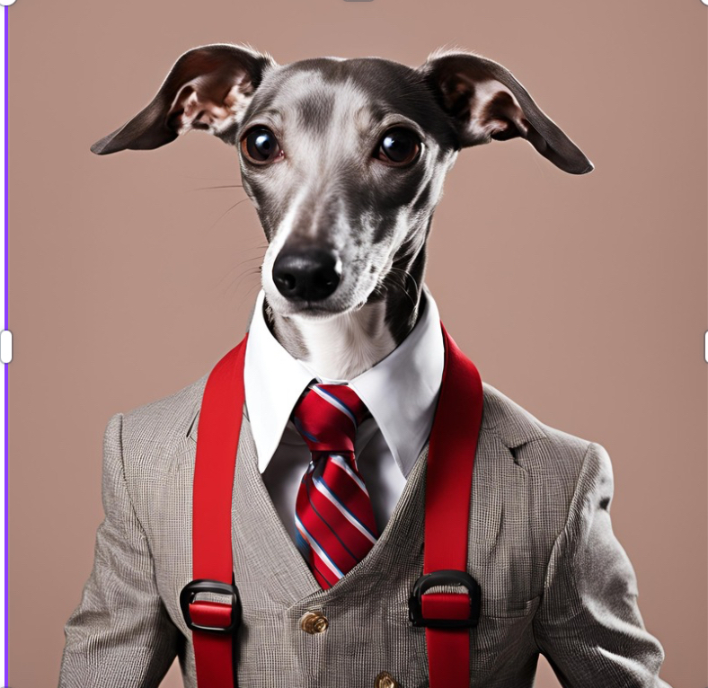 Paws in Charge: Meet Wally, the Canine CEO Taking Over the moomoo Community