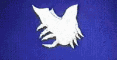 所以…….我们已经开始了。