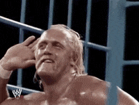 RIP Hogan …… 「真正的美國人。」我們在115 CRWV見，mf
