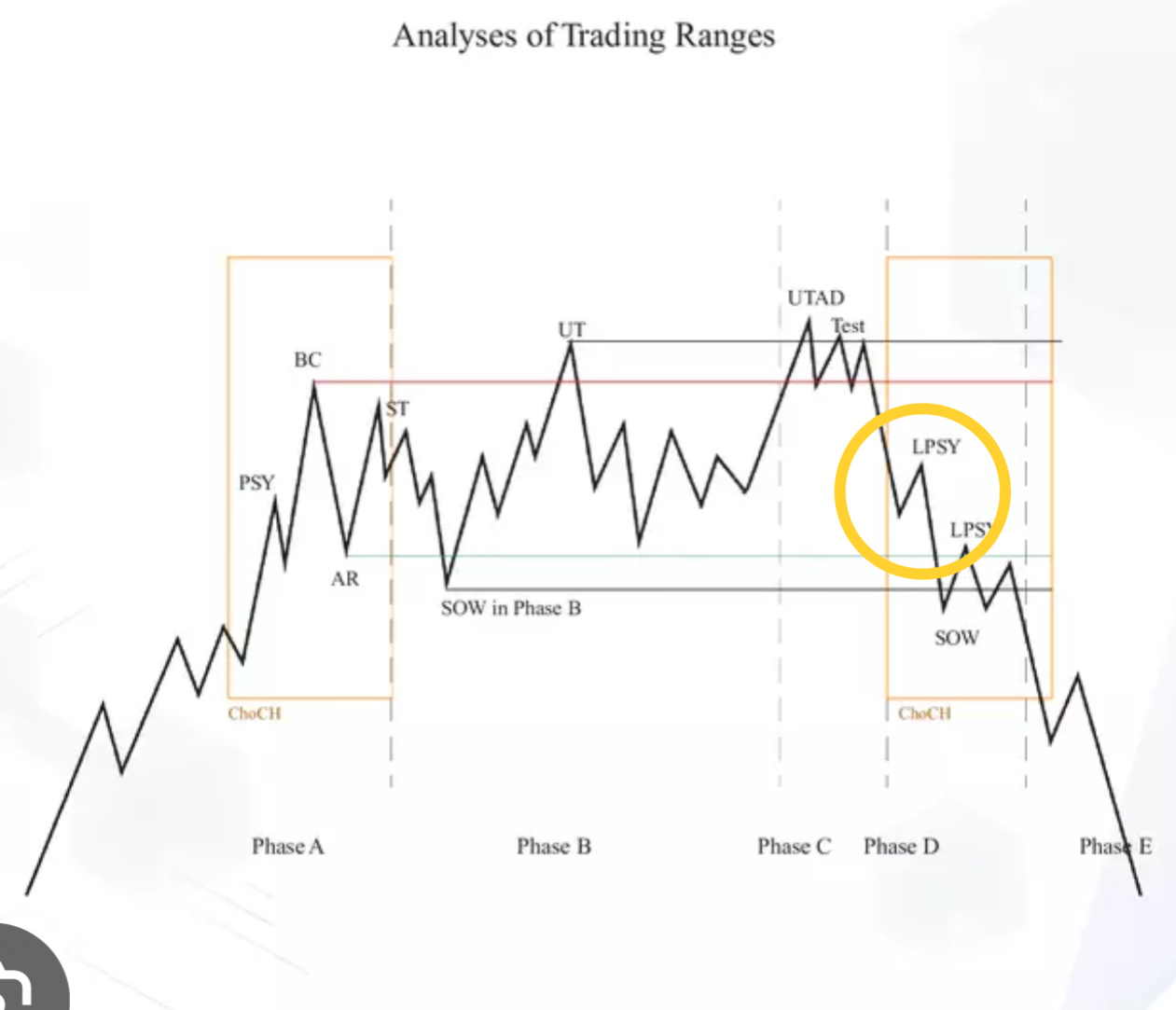 RIPPERのプロフィールページ - moomooコミュニティ
