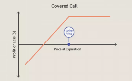 How to Safeguard Yourself Wisely in High-Risk Trades? Unveiling the Path to Hedging Survival in Options Trading