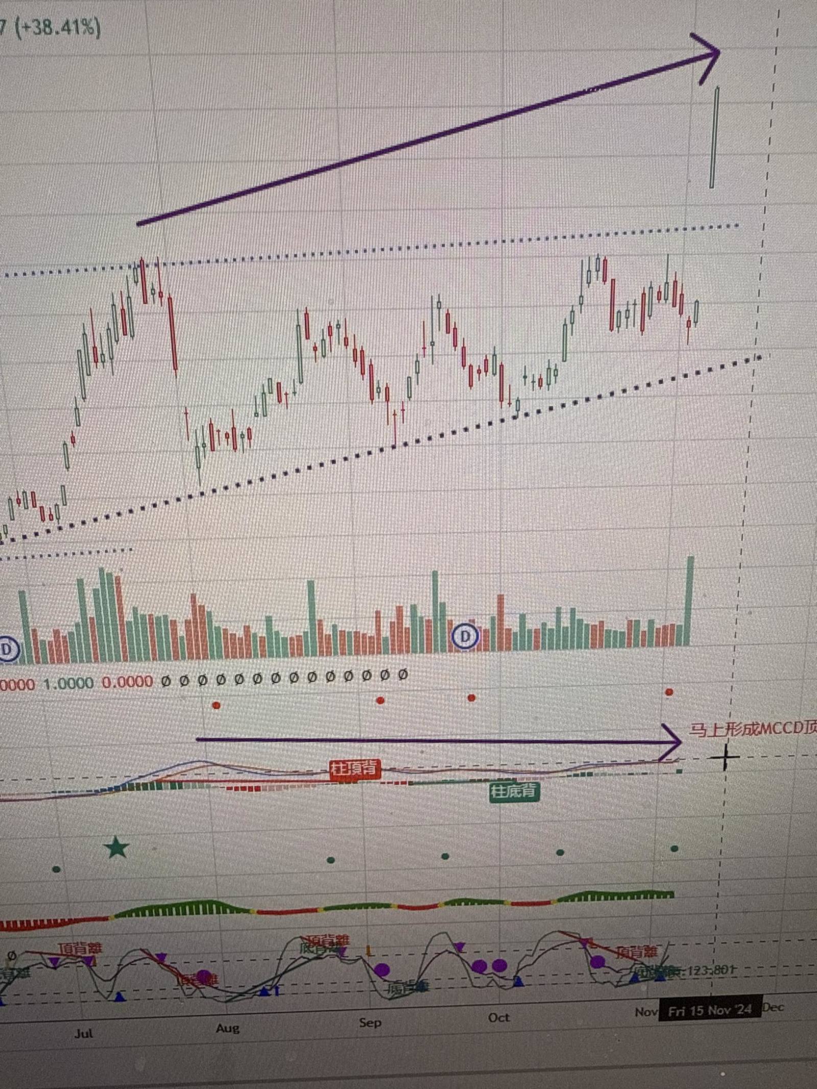 $3倍做多區域銀行股ETF-Direxion (DPST.US)$ MACD顶部背离？