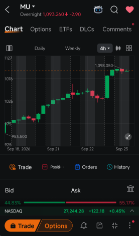 美光5%的涨幅如今正面临持续性考验