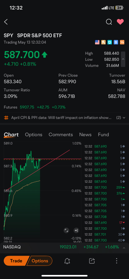 bullflag ?